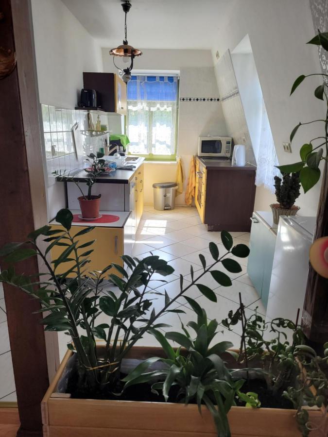 Pieschen Hertz _toller Preis Dresden Exterior foto
