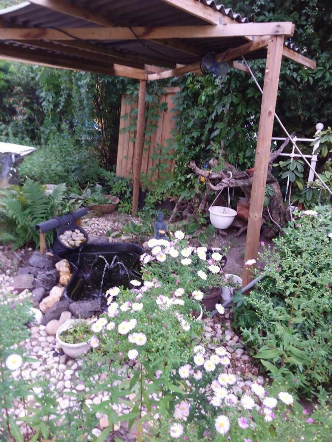 Pieschen Hertz _toller Preis Dresden Exterior foto